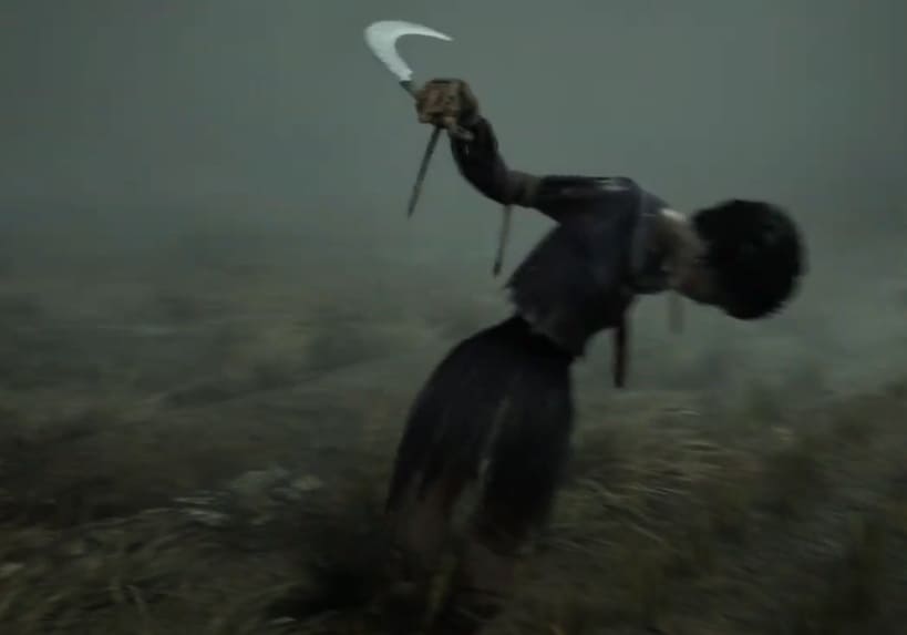 Die richtige Vogelscheuche der 1. Gruppe auf dem Schwierigkeitsgrad "Geschichte"